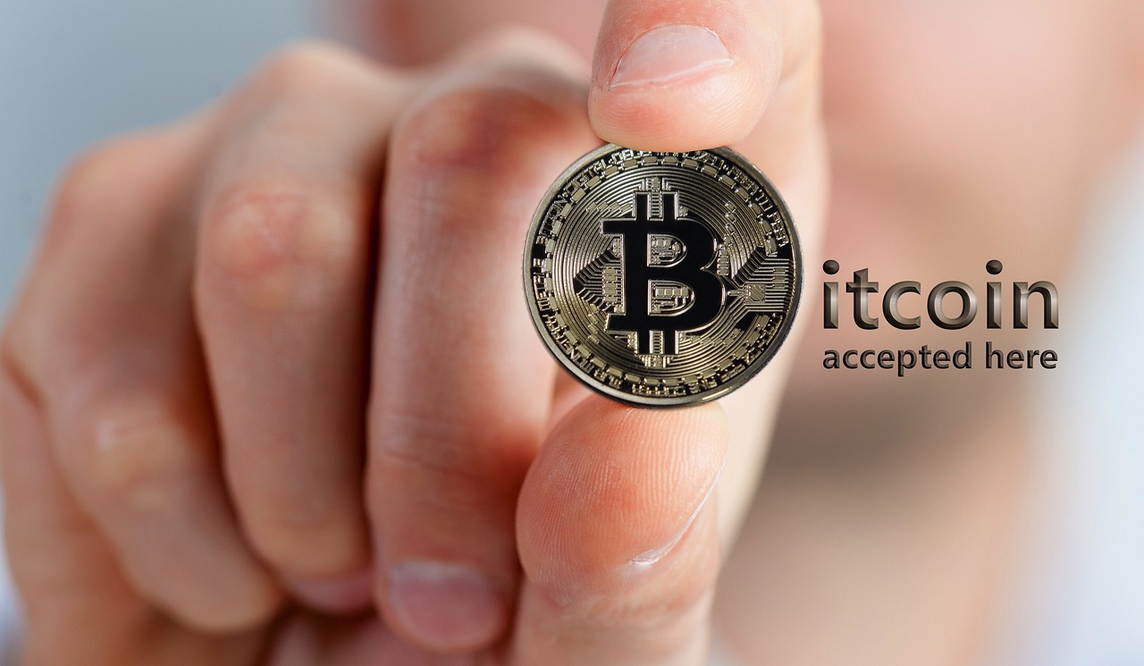 Exploring the Differences Between Bitcoin and Altcoin Wallets